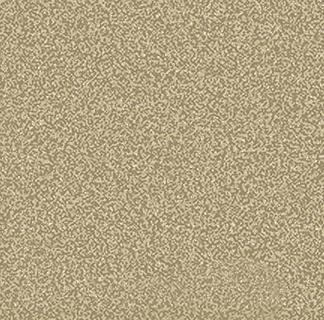 RAL 9006 RAL
