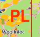 pogrupowane są w 75