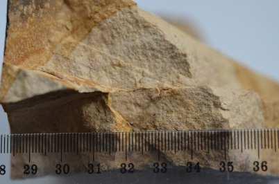 geologicznych z