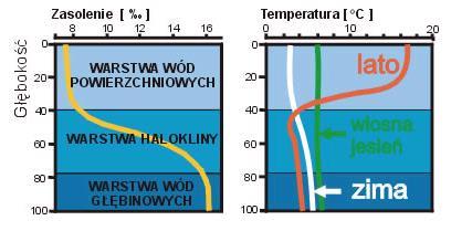 Bałtyk nasze morze STRATYFIKACJA WÓD BAŁTYKU WWW.CMAS.