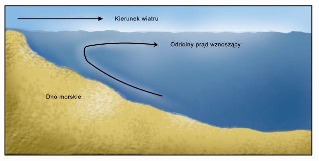 Prądy morskie źródło - Wyjazdy Nurkowe - Marcin Dąbrowski WWW.