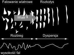 PL Płetwonurek