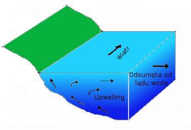 Upwelling WWW.CMAS.