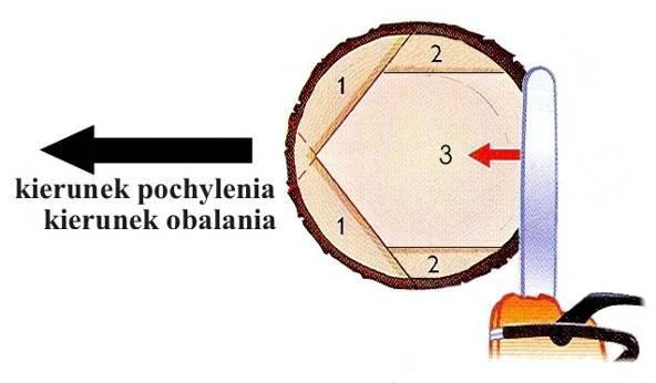 24): rozpocząć podcięcie jednym rzazem poziomym - po zagłębieniu prowadnicy wprowadzić kliny celem zabezpieczenia prowadnicy przed zakleszczeniem rzaz podcinający należy założyć możliwie jak najniżej