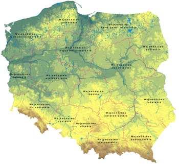 W Polsce złoża uranu występują w zagłębiu Lubin-Sieroszowice. Całkowite zasoby rudy to 2400 mln ton, miedzi 48 mln ton, a uranu 144 000 ton.