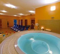 WYPOSŻENIE: asen letni z podgrzewaną wodą, sauna, jacuzzi, unikatowy stok narciarski pod dachem, boisko do siatkówki plażowej, mini golf, bilard,