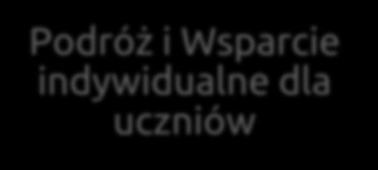 Podróż i Wsparcie indywidualne