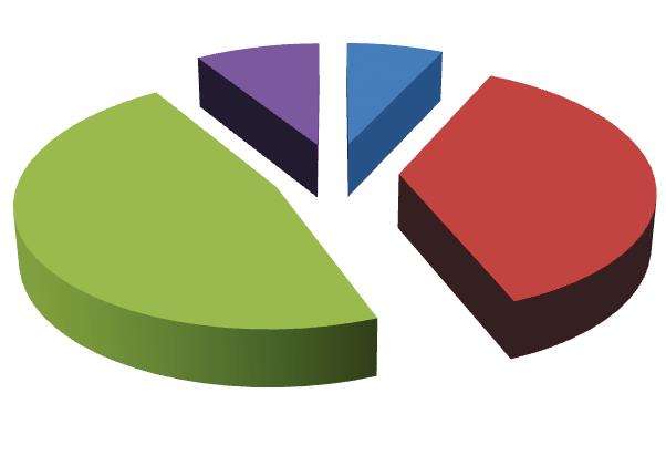 9% 7% 47% 37% mierna umiarkowana dobra doskonała Ryc. 33.