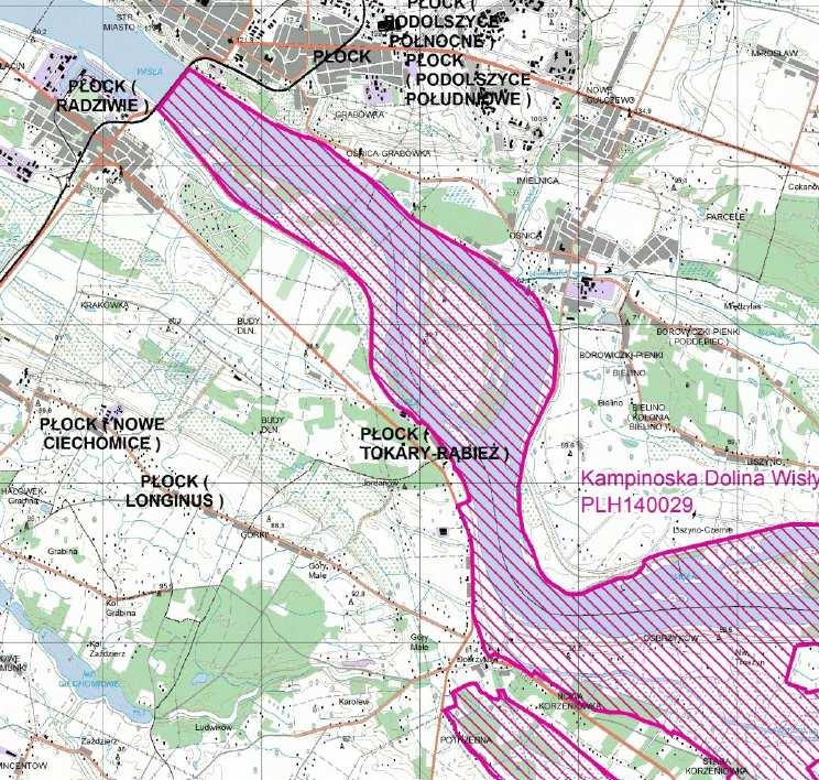 Adenostylion alliariae i ziołorośla nadrzeczne Convolvuletalia sepium (6430) oraz Niżowe i górskie świeże łąki użytkowane ekstensywnie Arrhenatherion elatioris kod 6510).