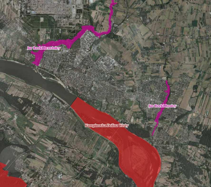 możliwa będzie migracja gatunków i osobników, zasiedlanie nowych siedlisk oraz stabilność ekologiczna systemu przyrodniczego miasta.
