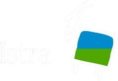 Partnerzy: Artur Rychliński -