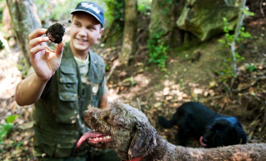 15.05.2018 wtorek Jedziemy do Puli. To dość duże miasto, jednak ma coś, co warto odwiedzić i zobaczyć. To Arena Pula. Siostra rzymskiego Koloseum, jednak dużo lepiej zachowana.