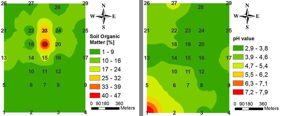 Spatial distribution of ph and organic matter in vicinity of The Miasteczko Śląski Zinc Smelter) i południowo-zachodnią.