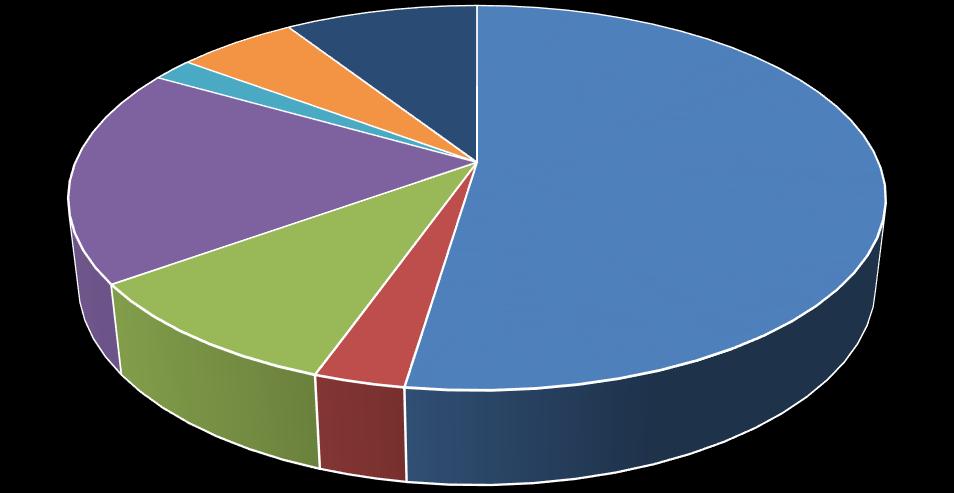 POZOSTAŁE 9% PARAZYTOLOGIA 6% IMMUNOLOGIA 2% Struktura sprzedaży branżami w 2015 roku HEMATOLOGIA 18% BIOCHEMIA 52% VACUETTE 10% ELEKTROFOREZA 3% Branżowa struktura sprzedaży działalności Grupy