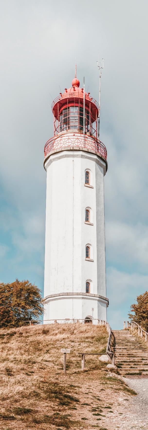 zwięzły słowny opis analizy funkcjonalnej przedstawiający istotny udział podmiotów powiązanych w tworzeniu wartości w ramach grupy kapitałowej, w tym istotne funkcje pełnione przez te podmioty