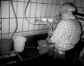 30 Ziemniak Polski 2006 nr 1 Rys. 3. Prosta metoda ekstrakcji cyst mątwików z gleby (podłoże gliniaste) (fot. W.
