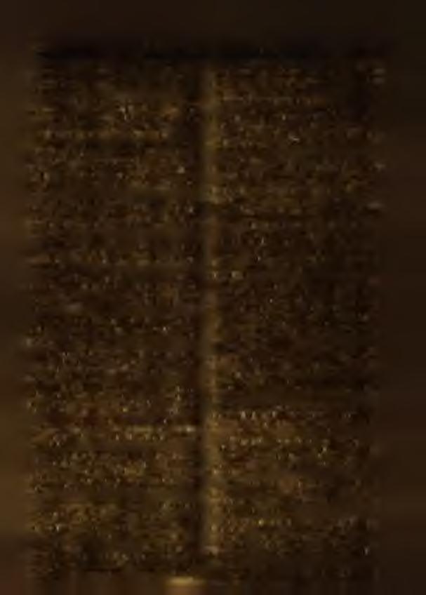 33) G ostom ski Z bigniew, zam. w B iałym stok u przy ul. Lipow ej N r 32 a m. 3 zielonego p raw a jazdy pojazdem m echanicznym N r 1868 wyd.