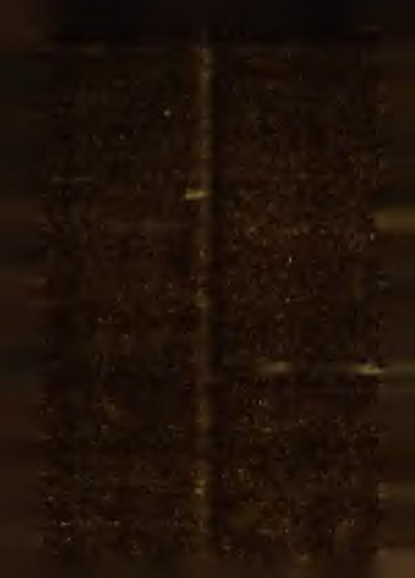 U; w B iały m stoku; legitym acj członkow skiej, w yd. przez M iejski K o m itet P. P. R. w B iałym stoku. 57) K ozłow ska Stefania, zam. w e w si M ajdanie gm. Z aboryszki pow. suw alskiego woj ew.