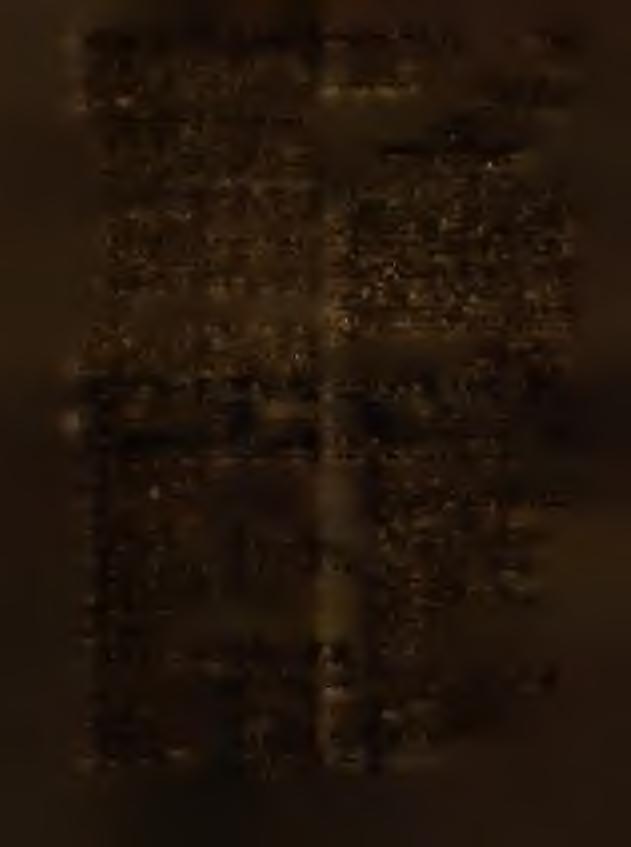 3) D elegat B anku Z w iązku Spółek Zarobkow ych w Poznaniu, upow ażnionego przez M inistra S k arb u w try b ie art. 26 d ek retu z dnia 6 grudnia 1946 r. (Dz. U. R. P. N r 71, poz. 389 z 1947 r.