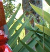 aromatu i smaku, zamiast sztucznych aromatów rybnych Przynęta aktywuje
