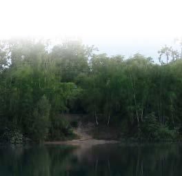 spokojnego żeru, brzany i lina.