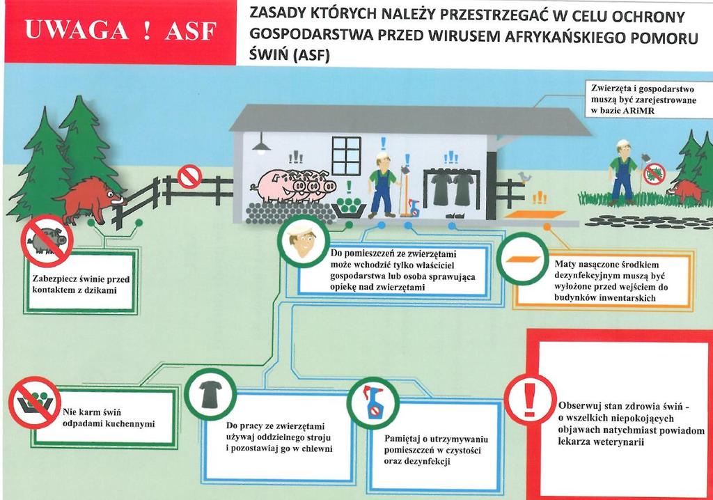 Działania zapobiegające wystąpieniu ASF w woj.