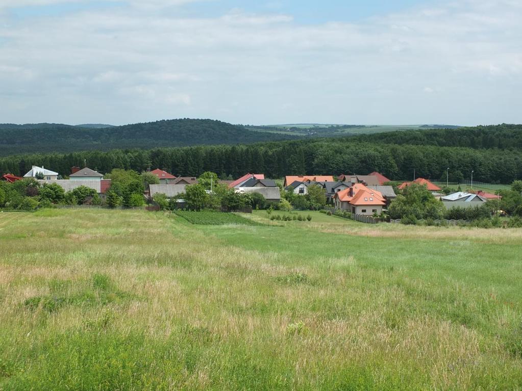 (Syborowa Góra!, cały teren Parku, przy drogach, parkingach, w lesie), Fot.