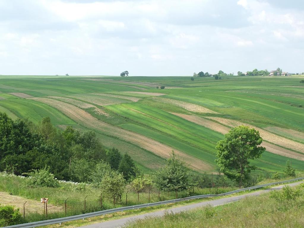 Zagrożenia dla flory i fauny: Sukcesja wtórna - Zarzucenie tradycyjnej gospodarki łąkarskiej powoduje zmniejszenie areału i ubożenie składu florystycznego zbiorowisk nieleśnych.