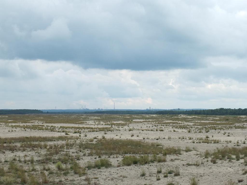 Park Krajobrazowy Dolinki Krakowskie środowisko abiotyczne