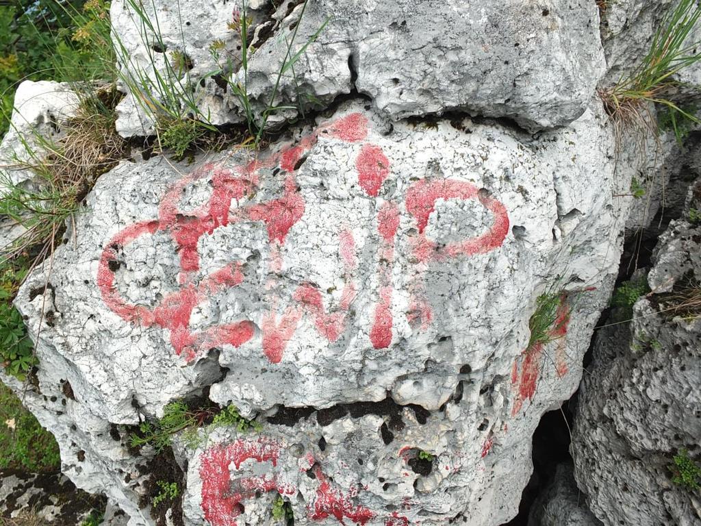 Zagrożenia dla elementów środowiska abiotycznego i flory: Degradacja form skałkowych i odsłonięć skalnych.