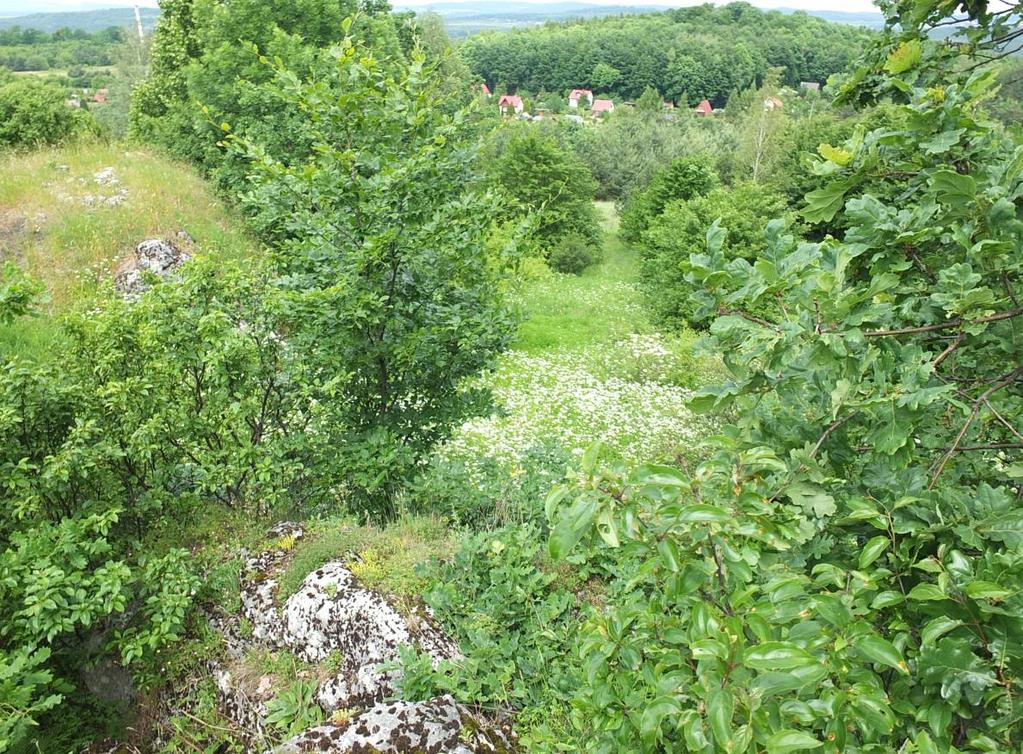 Kamyk w Kluczach,); zmniejszenie bioróżnorodności, Wandalizm (np.