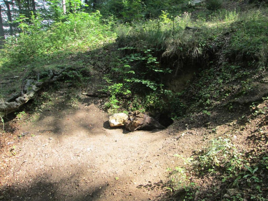 Zagrożenia dla elementów środowiska abiotycznego: Degradacja form skałkowych, odsłonięć skalnych, odsłonięć geologicznych i fauny Wspinaczka skałkowa metodą hakową, metodą dry-toolingu lub z