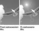 Filtry i efekty specjalne Rysunek 7.41.