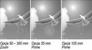 Ustaw parametr Lens Type. Jeśli uzyskasz oczekiwany efekt, kliknij OK, aby zastosować filtr na obrazie (rysunek 7.41).