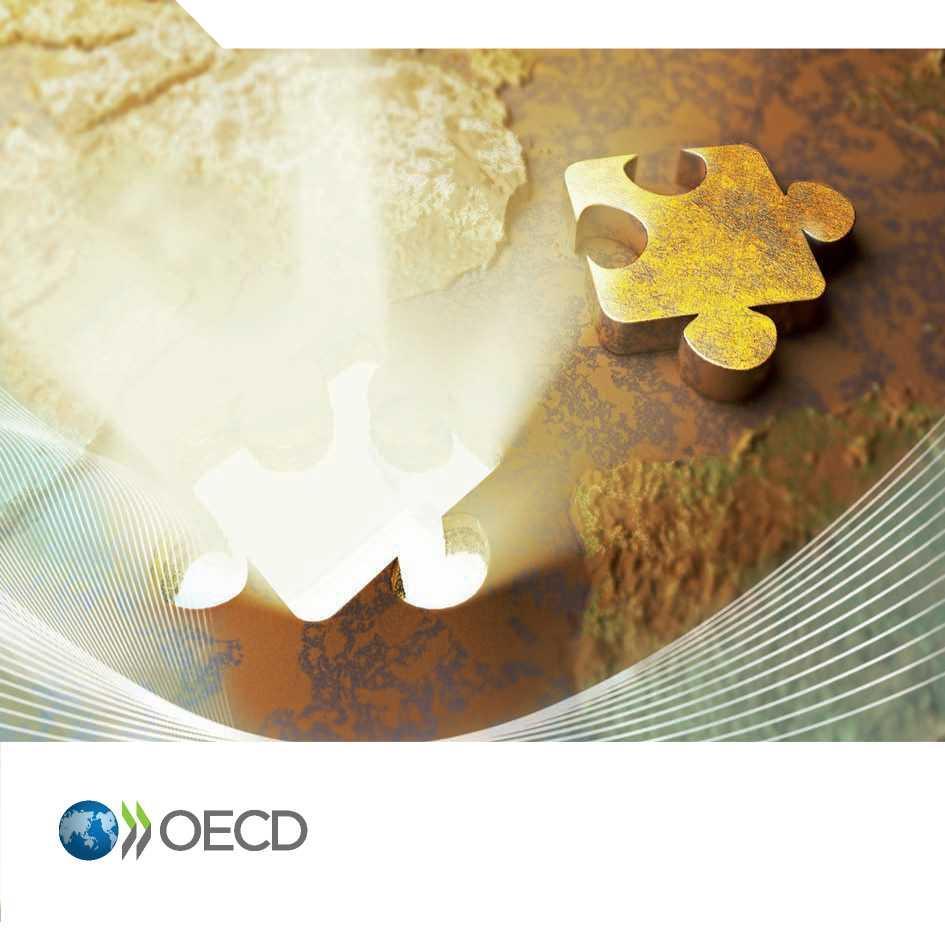 Wytyczne OECD dotyczące należytej