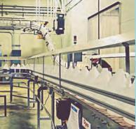 jj Automatyzacja z zastosowaniem cobot ów: Poradnik doboru procesów do robotyzacji Wprowadzenie Roboty współpracujące zwane cobotami mają obecnie duży wpływ na globalną produkcję.