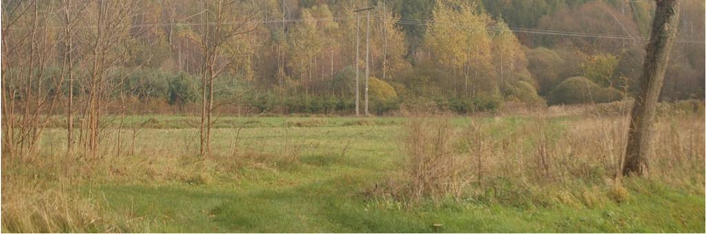 sukcesją naturalną. Eksploatacja rud żelaza w kopalni Wręczyca została zakończona w 1982 r., zatem procesy spontanicznej sukcesji naturalnej trwają już 35 lat.