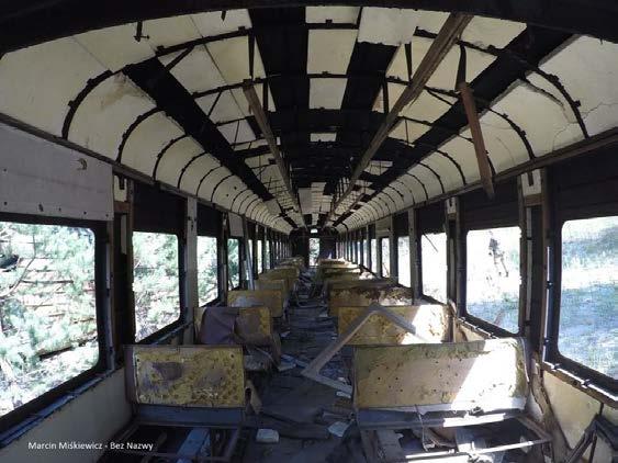 ŻYCIE W CZARNOBYLU Rys. 5. Opuszczony autobus na terenie Zony Ze względu na wyludnienie terenu po katastrofie i niską ingerencję człowieka, w Czarnobylu znacząco rozwinęła się fauna i flora.