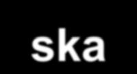 ECK Polska Fakty i