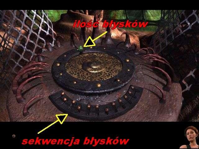 Po ustawianiu ostrości musisz jeszcze zapamiętać całą sekwencję błysków długich i krótkich.