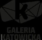 Organizatorem Konkursu jest GOLDEN ROCKET Doradztwo Strategiczne i Marketingowe Dawid Prymas, z siedzibą w Bytomiu (kod pocztowy 41-902) przy ul.