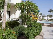 Wyposażenie: Elegancki kompleks hotelowy dysponuje łącznie 284 stylowymi pokojami. Część infrastruktury jest wspólna również dla hotelu Sharm Plaza; hol z recepcją, restauracje, bary i dyskoteka.