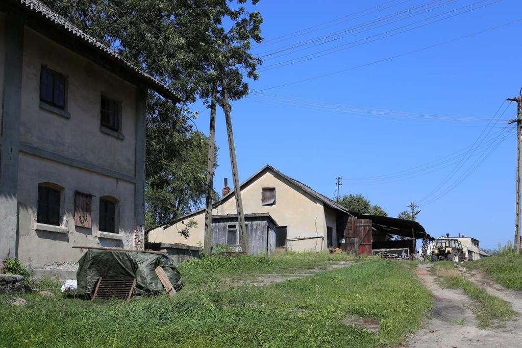 nowoczesne sadownictwo w którym