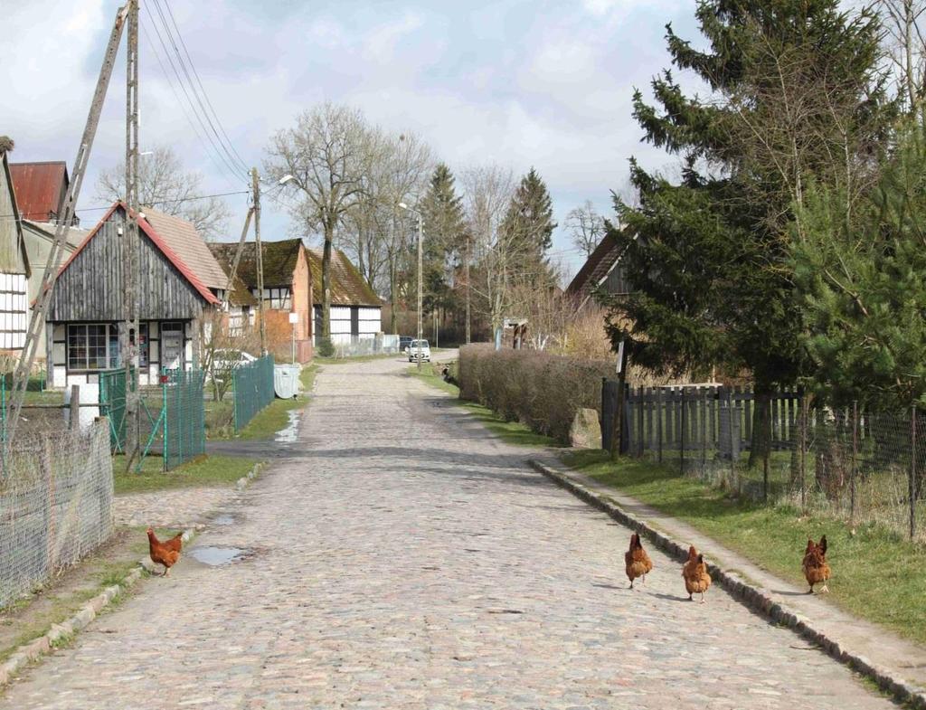 Walory wsi wg KOM pozytywy (9) Przestrzeń zmysłów (III.3) - ocena wybitna, 4 pkt. Fot. SW_WP9. Klimat wiejski. Widok na drogę gminną na wysokości Zagrody nr 11 - pkt. 5 trasy.