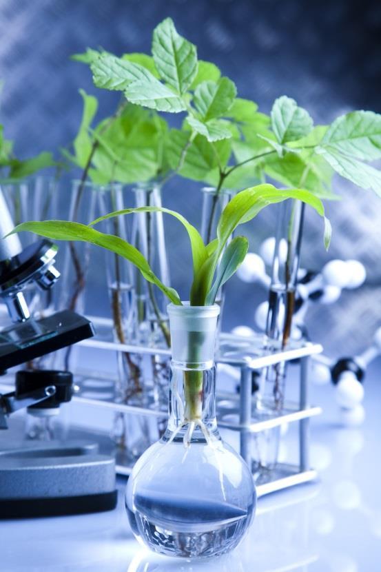 Chromatograf gazowy umożliwiający badanie składu mieszanin gazów w szerokim zakresie stężeń (oznaczanie CO2, O2, CH4, C2H2, C2H4) Kalorymetr umożliwia oznaczanie energetyczności badanych próbek,