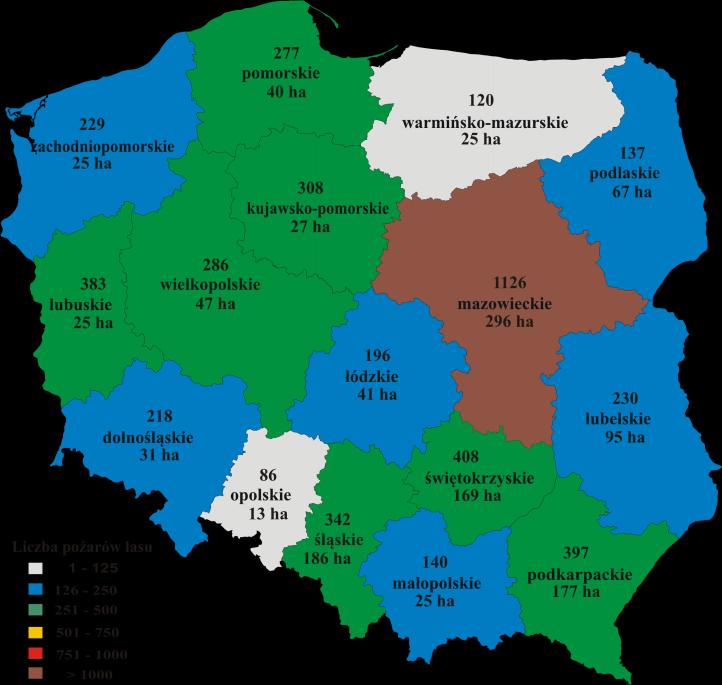 Dane o pożarach lasu w Polsce w okresie 2007-2014 Rok Liczba pożarów Spalona powierzchnia (ha) Lasy Inne naturalne Razem Lasy