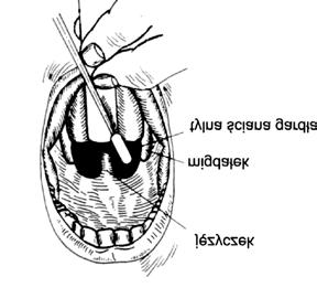 W okresach między pandemią i podczas pandemii wykorzystuje się diagnostyczne testy laboratoryjne.