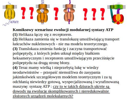 Poza tym o kilku innych biologicznych układach