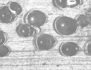 , Hydrocerol BM 70