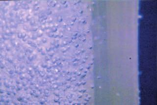 0 wt. % BM 70, c) PVC + 2.0 wt. % PLC 751, magnification 10 takiej zale noœci dotycz¹cych wyprasek z PE-LD lub PVC.